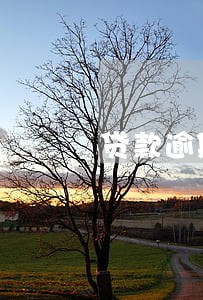 贷款逾期180天什么意 贷款逾期180天什么意