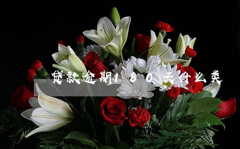 贷款逾期180天什么类