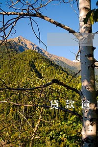 贷款逾期180天形态