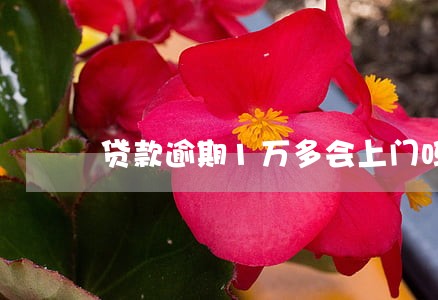 贷款逾期1万多会上门吗 贷款逾期1万多会上门吗