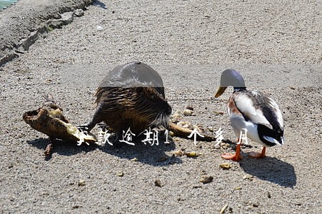 贷款逾期1个多月 贷款逾期1个多月