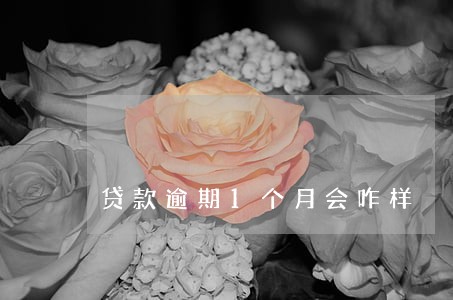 贷款逾期1个月会咋样 贷款逾期1个月会咋样
