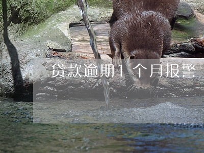 贷款逾期1个月报警 贷款逾期1个月报警