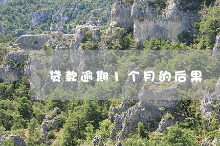 贷款逾期1个月的后果 贷款逾期1个月的后果