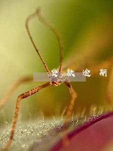 贷款逾期1千