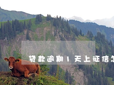 贷款逾期1天上征信怎么办 贷款逾期1天上征信怎么办