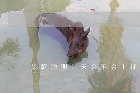 贷款逾期1天会不会上征信 贷款逾期1天会不会上征信