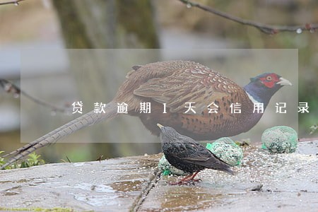 贷款逾期1天会信用记录 贷款逾期1天会信用记录