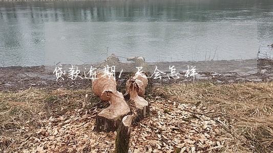 贷款逾期1天会怎样 贷款逾期1天会怎样