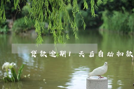 贷款逾期1天后自动扣款 贷款逾期1天后自动扣款