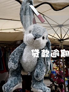 贷款逾期1天对个人信用的影响 贷款逾期1天对个人信用的影响