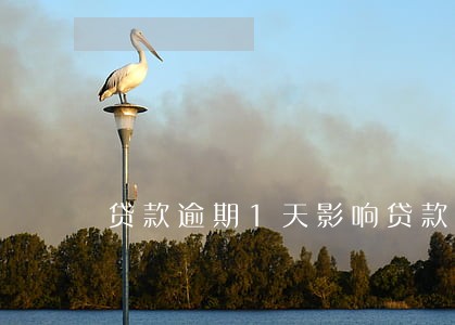 贷款逾期1天影响贷款 贷款逾期1天影响贷款