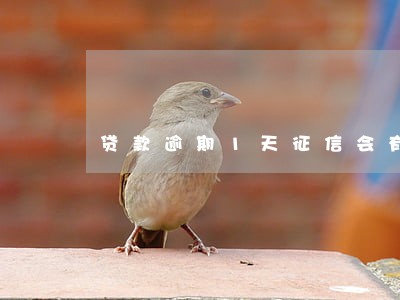贷款逾期1天征信会有记录 贷款逾期1天征信会有记录