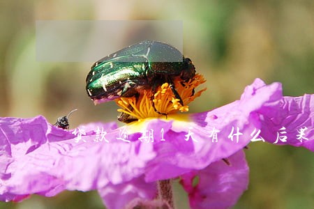 贷款逾期1天有什么后果 贷款逾期1天有什么后果