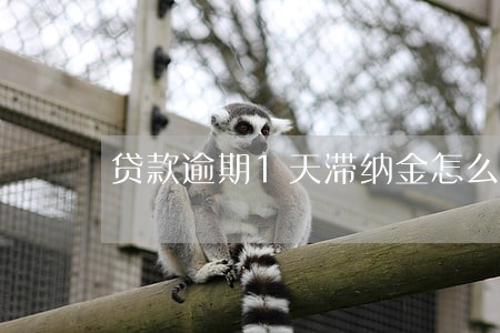 贷款逾期1天滞纳金怎么算 贷款逾期1天滞纳金怎么算