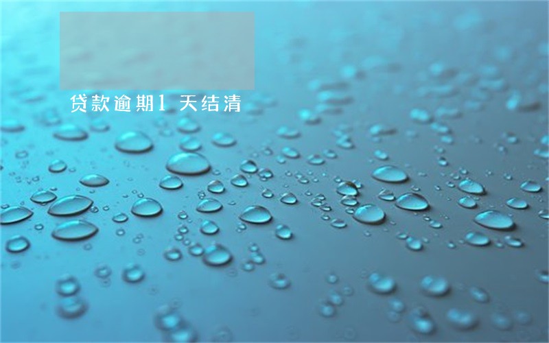 贷款逾期1天结清 贷款逾期1天结清