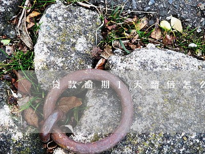 贷款逾期1天翻倍怎么处理 贷款逾期1天翻倍怎么处理