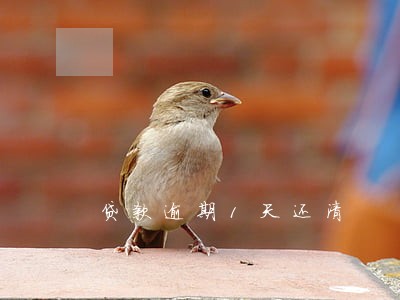 贷款逾期1天还清 贷款逾期1天还清