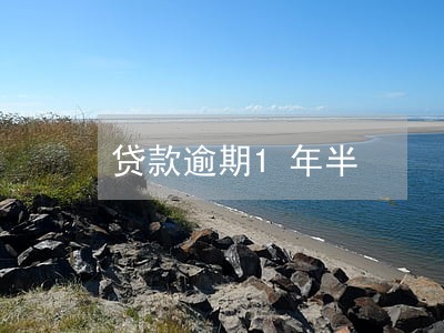 贷款逾期1年半 贷款逾期1年半