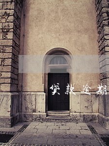 贷款逾期1年有被抓的么 贷款逾期1年有被抓的么