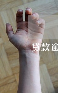 贷款逾期1年的后果 贷款逾期1年的后果