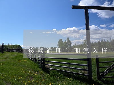 贷款逾期1期怎么样 贷款逾期1期怎么样