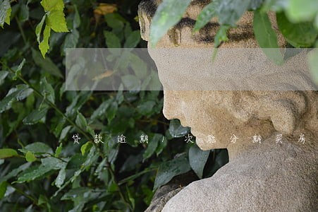 贷款逾期1次能分期买房吗 贷款逾期1次能分期买房吗