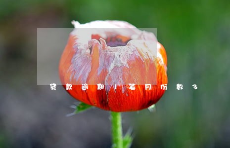 贷款逾期1笔月份数3 贷款逾期1笔月份数3