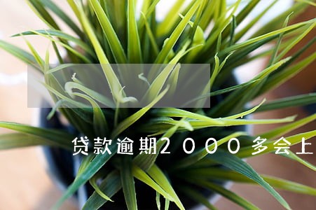 贷款逾期2000多会上征信吗 贷款逾期2000多会上征信吗