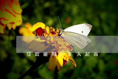 贷款逾期20天起诉 贷款逾期20天起诉
