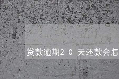 贷款逾期20天还款会怎么样 贷款逾期20天还款会怎么样