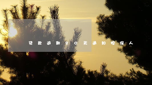 贷款逾期20天通知担保人