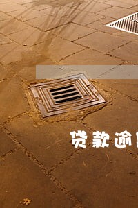 贷款逾期20年银行来找 贷款逾期20年银行来找