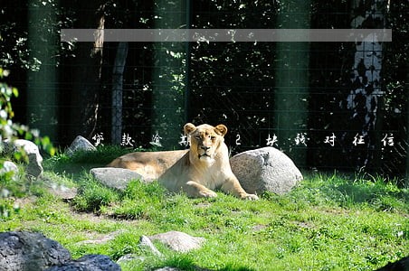 贷款逾期22块钱对征信有影响吗 贷款逾期22块钱对征信有影响吗