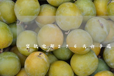 贷款逾期276天会多还多少钱 贷款逾期276天会多还多少钱