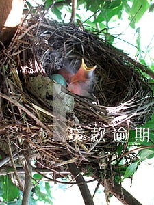 贷款逾期2万利息怎么算的 贷款逾期2万利息怎么算的
