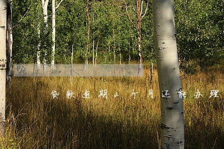 贷款逾期2个月还能办理吗 贷款逾期2个月还能办理吗