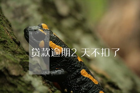 贷款逾期2天不扣了 贷款逾期2天不扣了