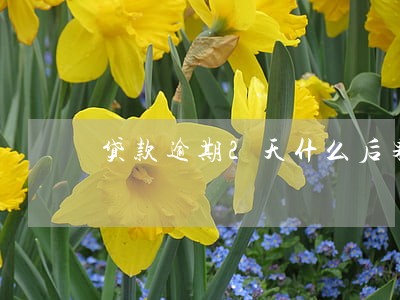 贷款逾期2天什么后果 贷款逾期2天什么后果