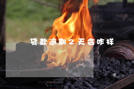贷款逾期2天会咋样 贷款逾期2天会咋样