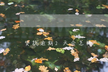 贷款逾期2天会怎样 贷款逾期2天会怎样