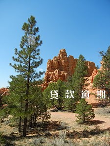 贷款逾期2天会有什么后果 贷款逾期2天会有什么后果