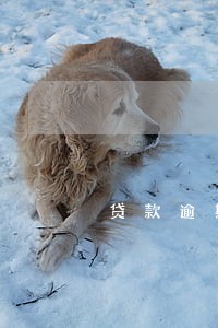 贷款逾期2天怎么 贷款逾期2天怎么