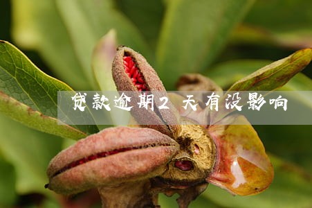 贷款逾期2天有没影响 贷款逾期2天有没影响