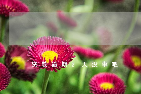 贷款逾期2天没事吧 贷款逾期2天没事吧