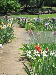贷款逾期2天罚息多少 贷款逾期2天罚息多少