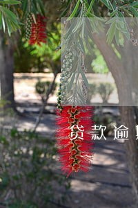 贷款逾期2天罚款200 贷款逾期2天罚款200