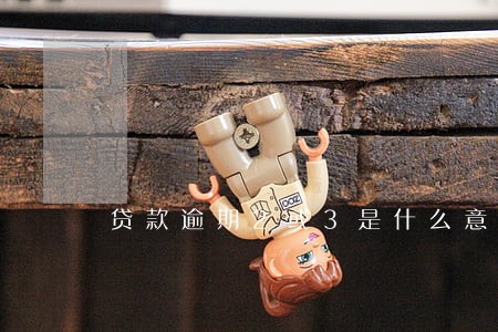 贷款逾期2或3是什么意思 贷款逾期2或3是什么意思