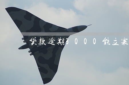 贷款逾期3000能立案吗