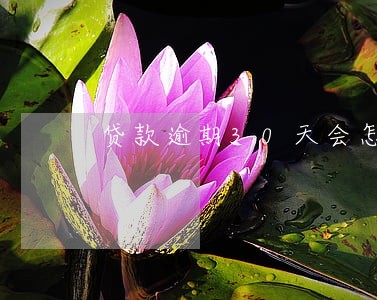 贷款逾期30天会怎样 贷款逾期30天会怎样
